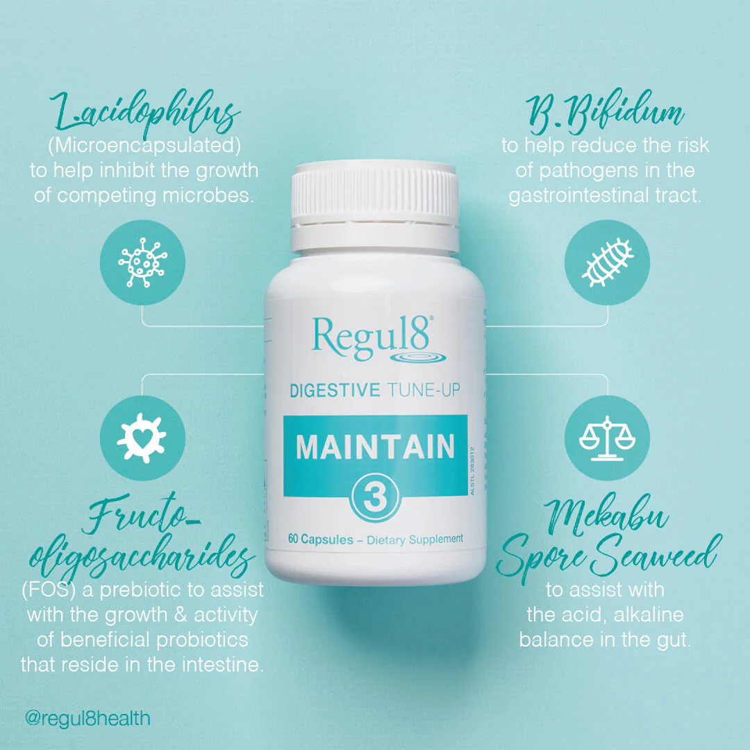Regul8 Maintain Probiotic - Image 2